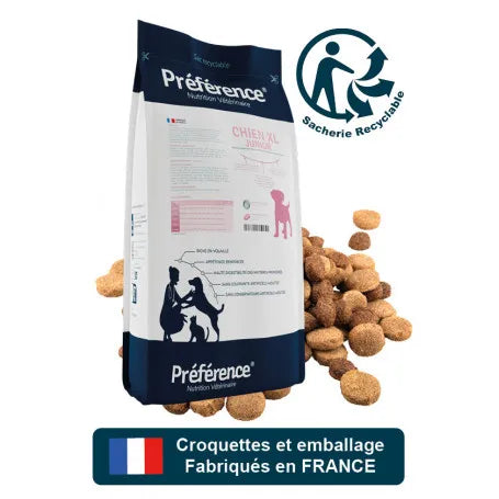 Preference Chien Junior XL