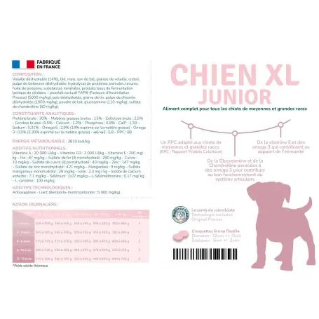 Preference Chien Junior XL