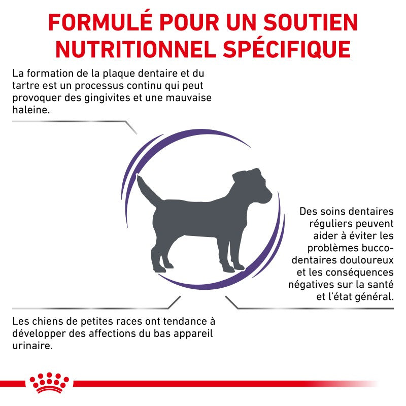 Royal Canin Ehn Chien Small Dental - croquettes chien