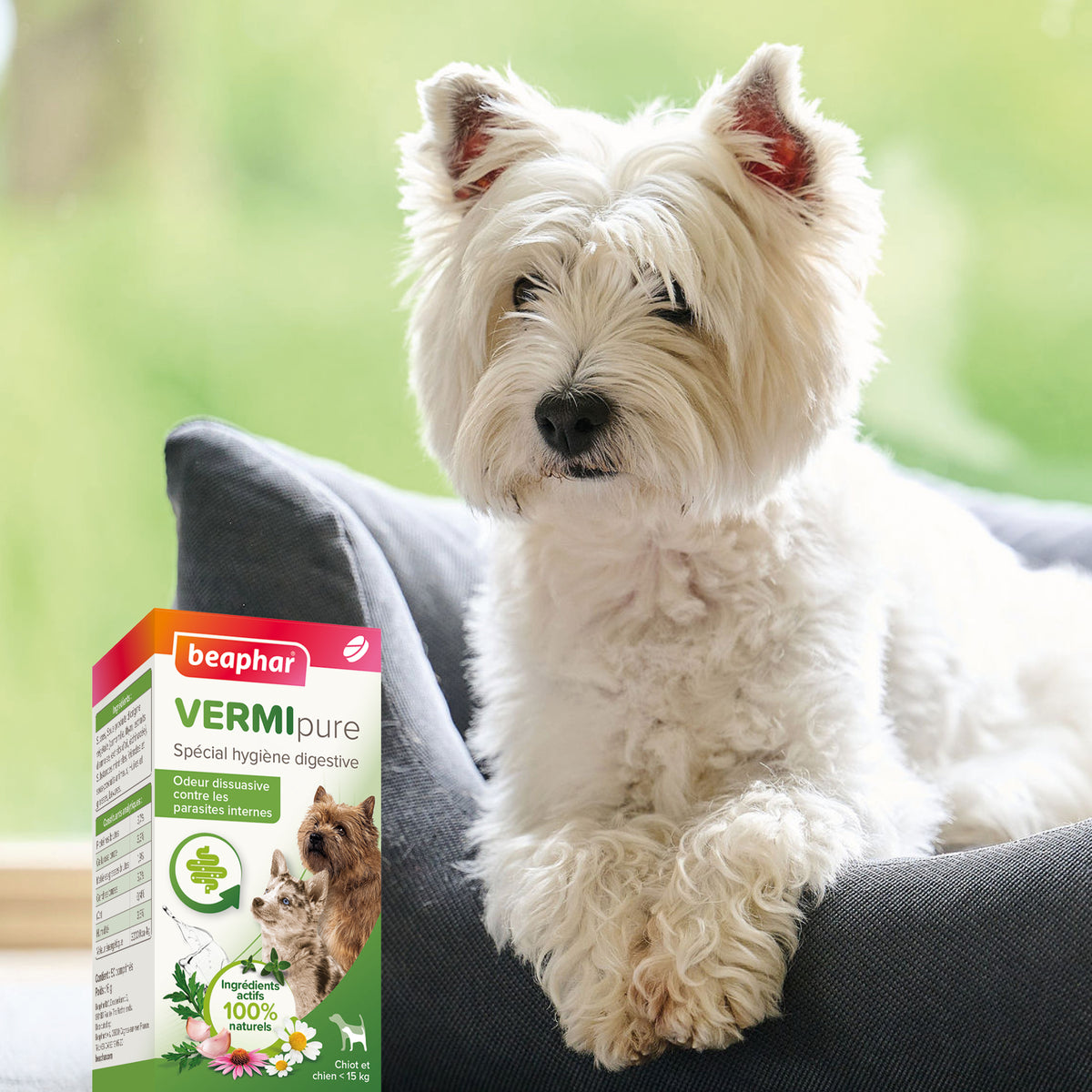 Vermipure comprimés Purge chiot, petit chien