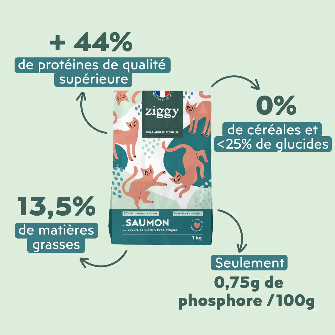Ziggy adulte stérilisé au saumon - croquettes chat