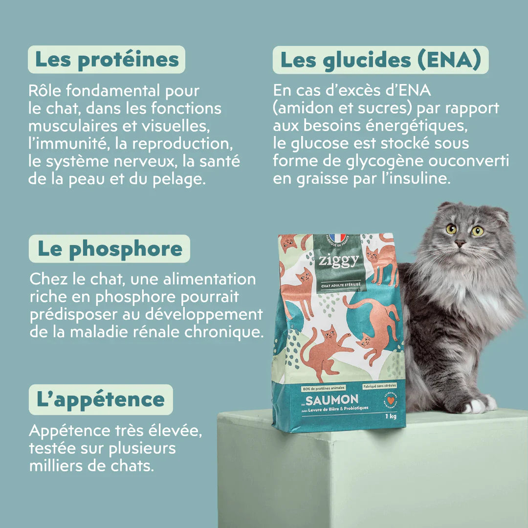 Ziggy adulte stérilisé au saumon - croquettes chat