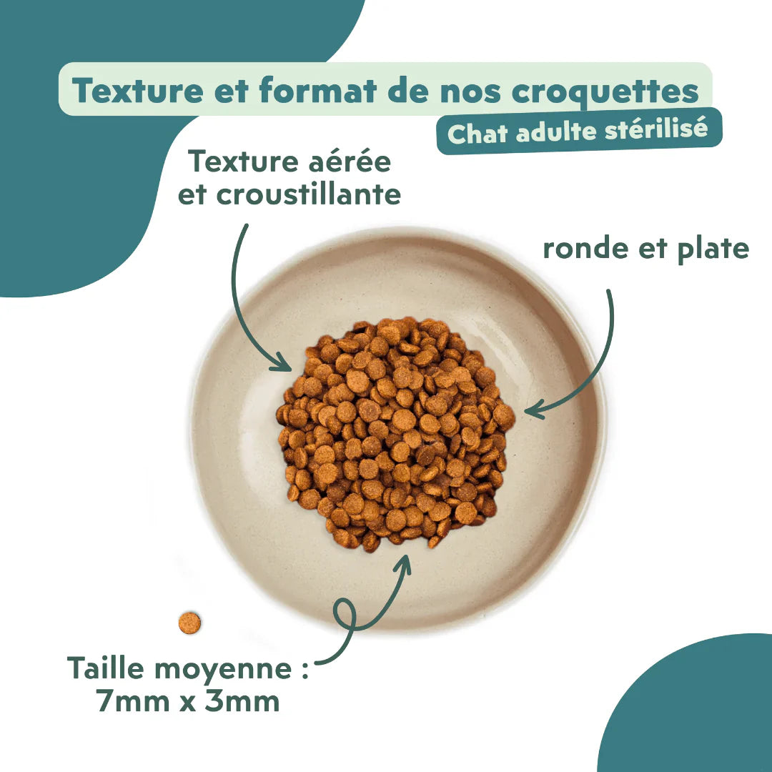 Ziggy adulte stérilisé au saumon - croquettes chat