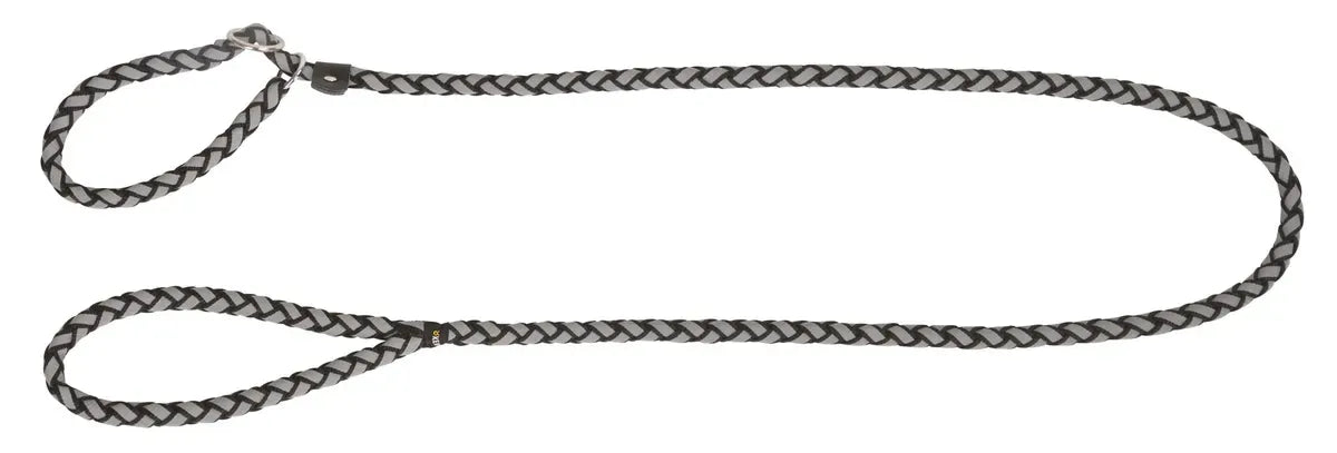 Laisse avec collier intégré réfléchissante