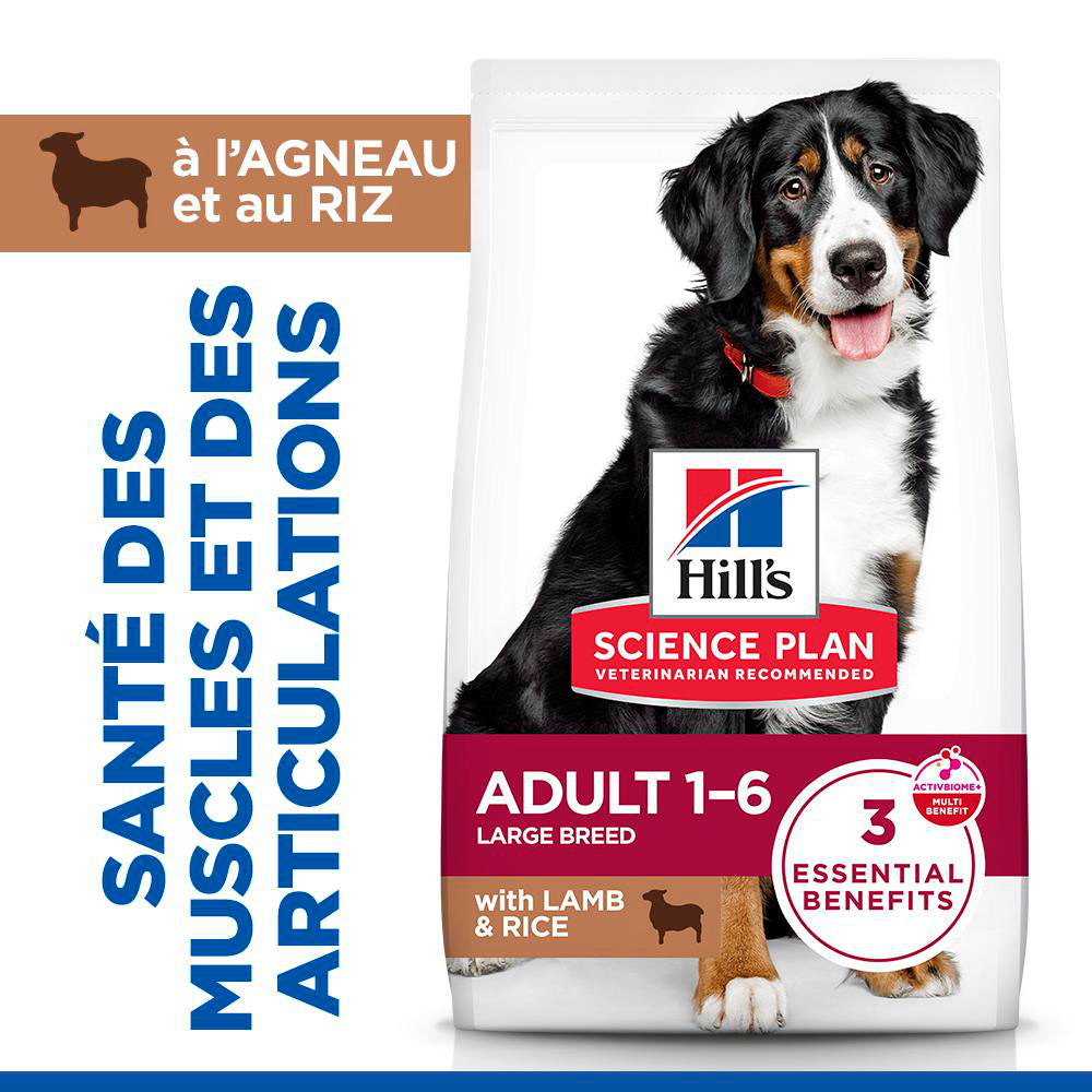 Sp Chien Adulte 1-5 Large Lambrice