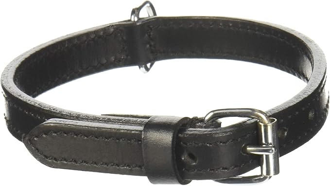 COLLIER CUIR CHIEN ACTIVE NOIR