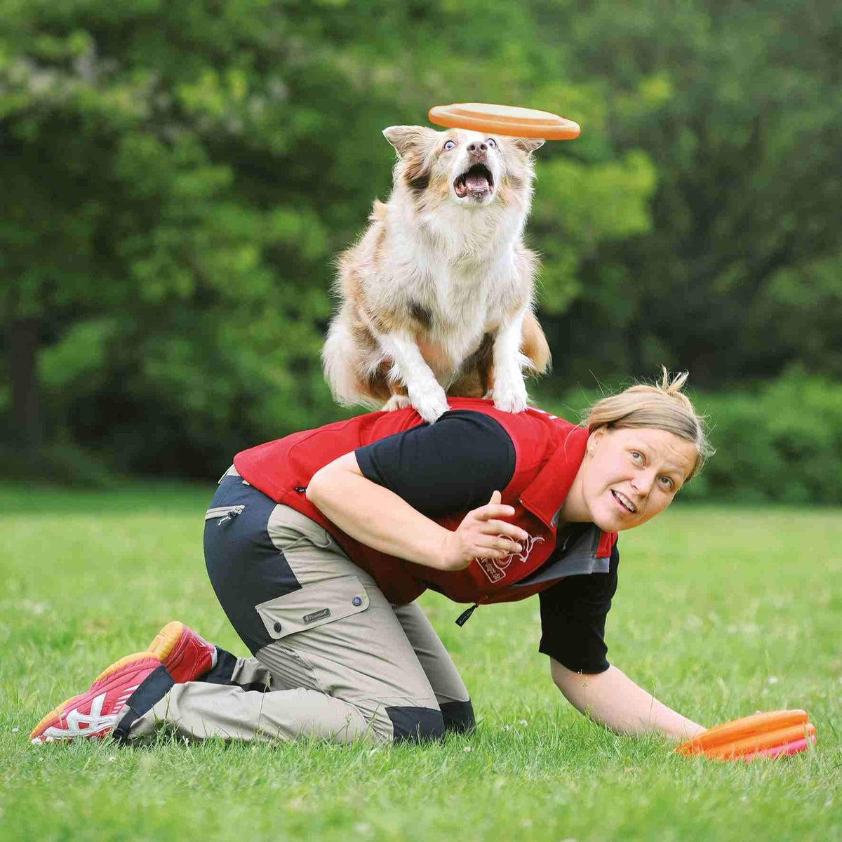 FRISBEE DOG DISC