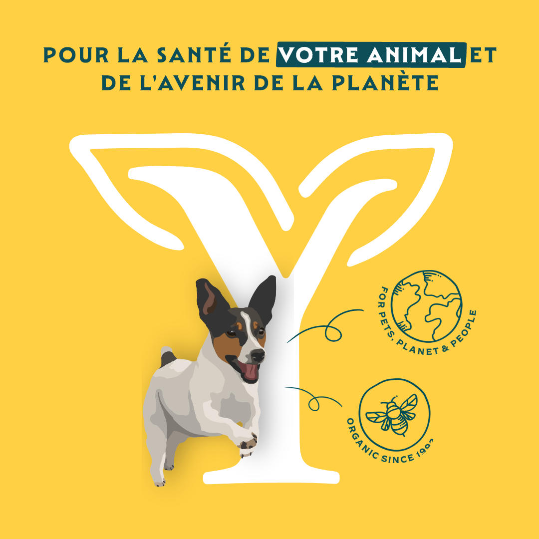 Yarrah mini snacks bio pour chien