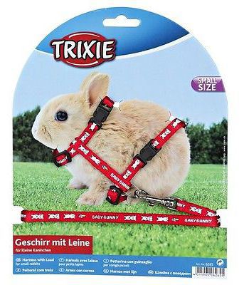 Harnais & laisse petit lapin