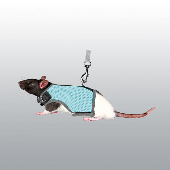Harnais Soft avec laisse pour rat