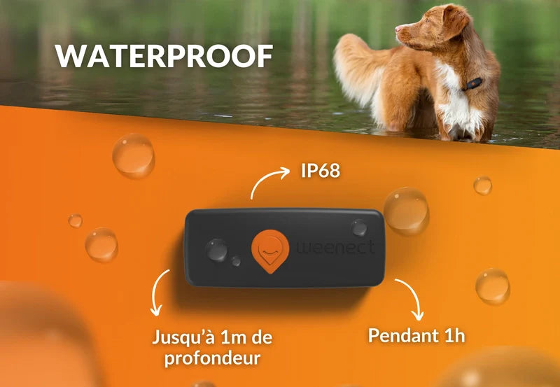 Gps Weenect Chien