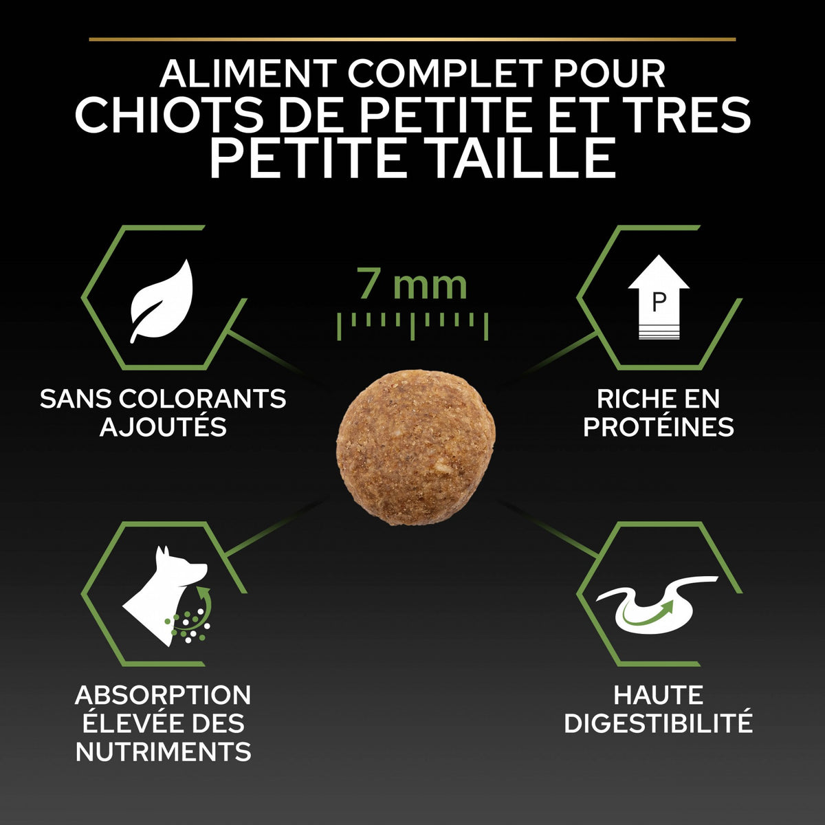 PRO PLAN Healthy Start Small & Mini Puppy au Poulet - Croquettes pour chien