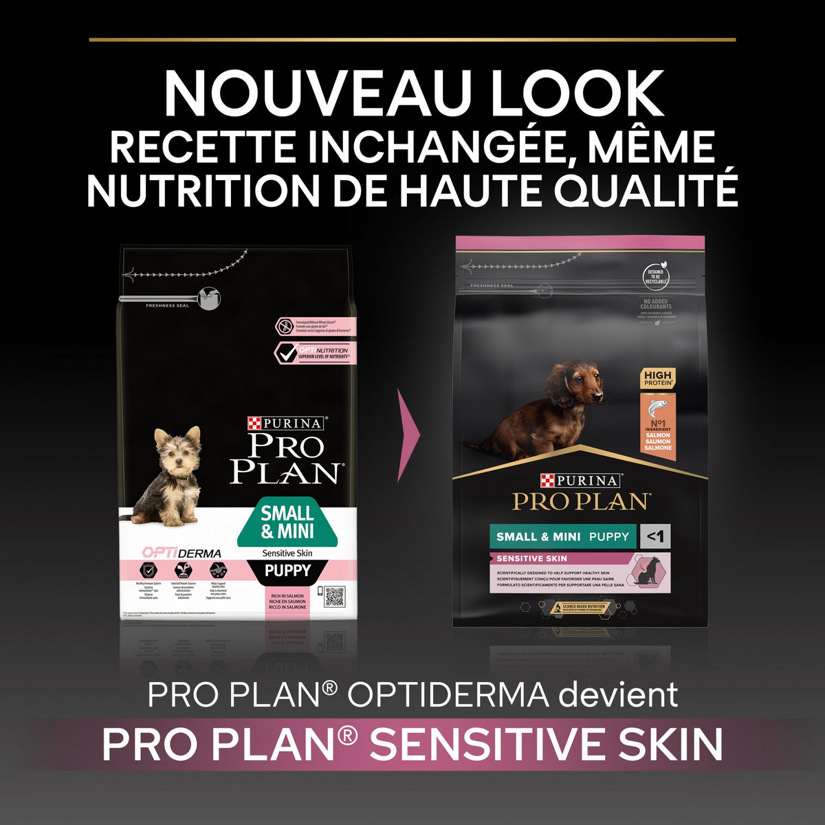 Pro Plan Sensitive Skin Small & Mini Puppy au saumon - croquettes chiot