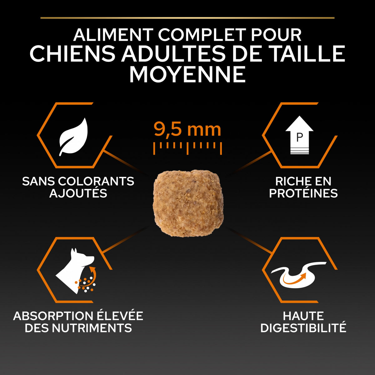 Pro Plan Everyday Nutrition Small & Mini Adult au poulet - croquettes chien