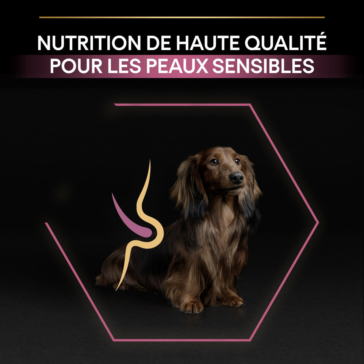 Pro Plan Sensitive Skin Small & Mini Adult au saumon - croquettes chien