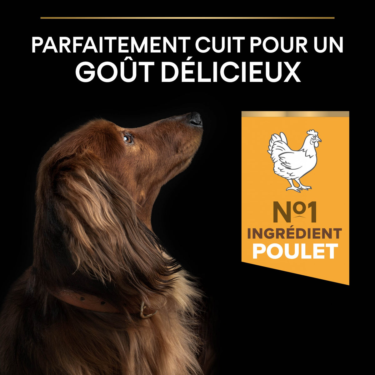 Pro Plan Age Defence Small & Mini Adult au poulet - croquettes chien