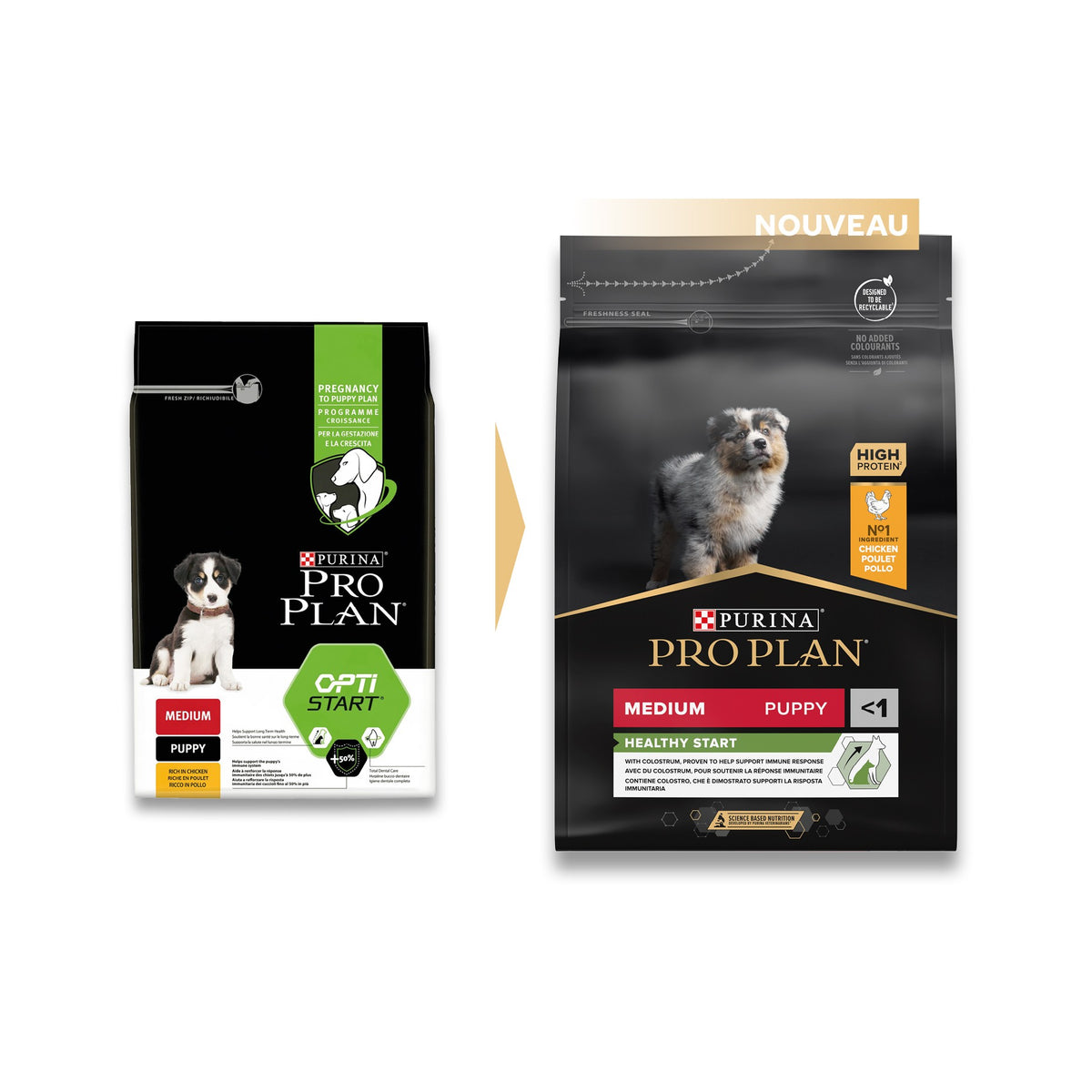 PRO PLAN Healthy Start Medium Puppy au Poulet - Croquettes pour chien