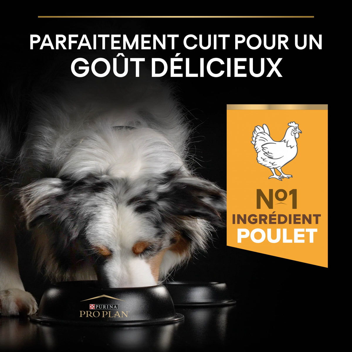 Pro Plan Age Defence Medium & Large Adult au poulet - croquettes chien