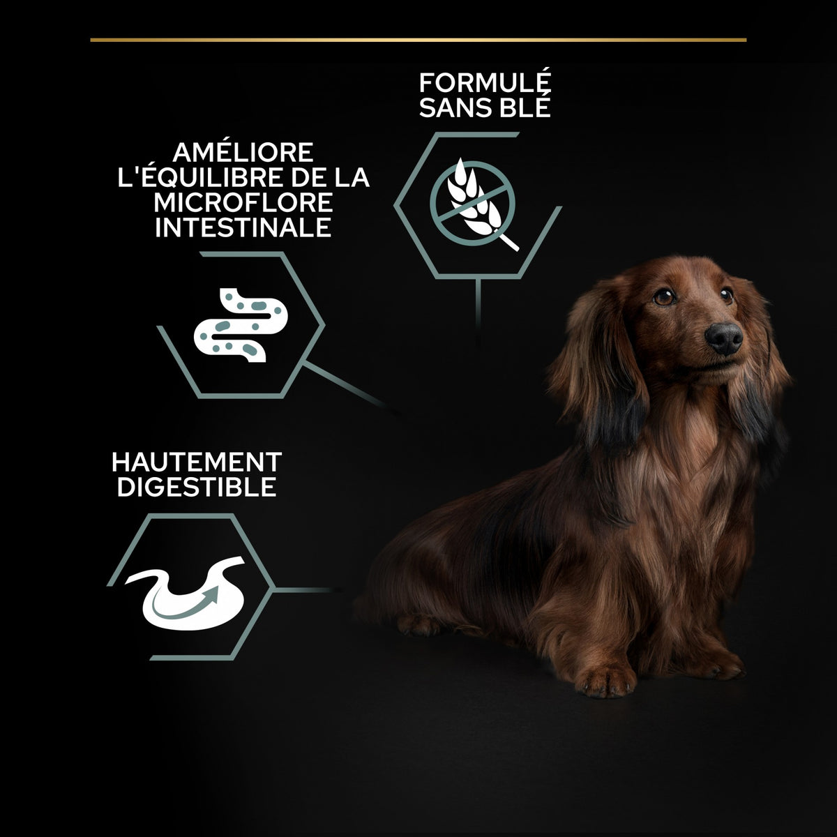 Pro Plan Sensitive Digestion No Grain Small & Mini Adult à la dinde - croquettes chien