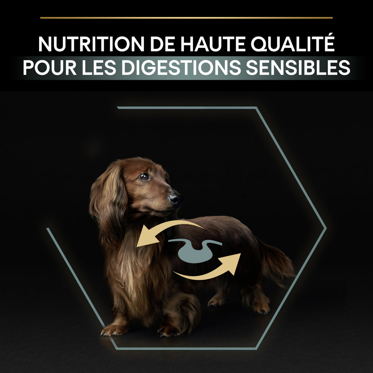 Pro Plan Sensitive Digestion No Grain Small & Mini Adult à la dinde - croquettes chien