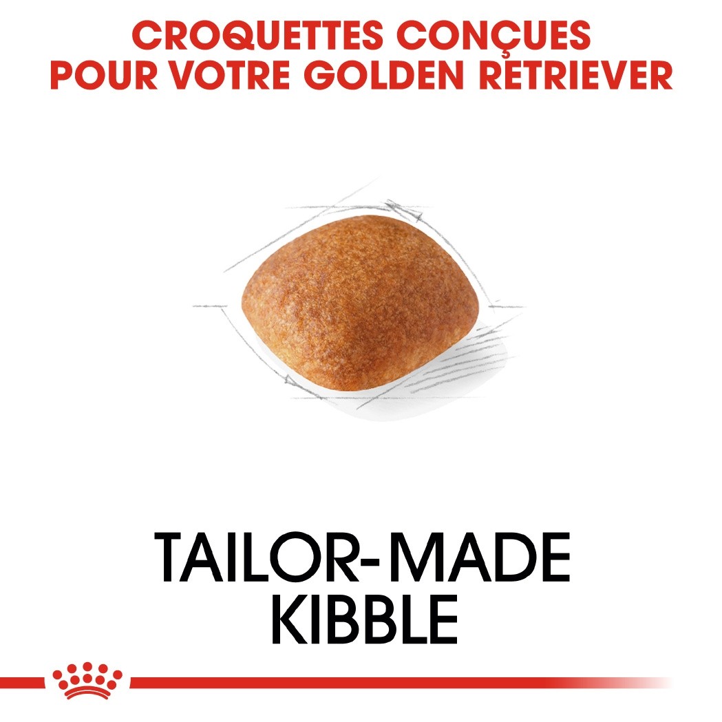 Royal Canin Golden Retriever Adult - Croquettes pour chien