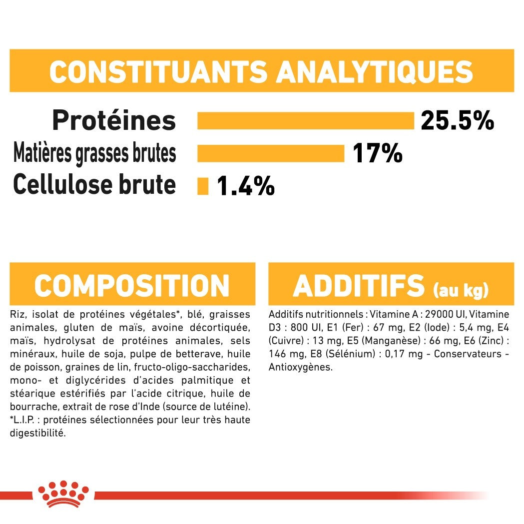 Royal Canin Mini Dermaconfort - Croquettes pour chien
