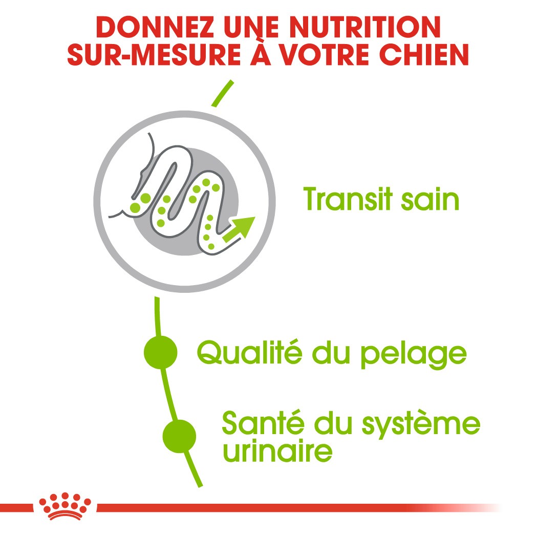 Royal Canin X-Small Adult - croquettes très petit chien