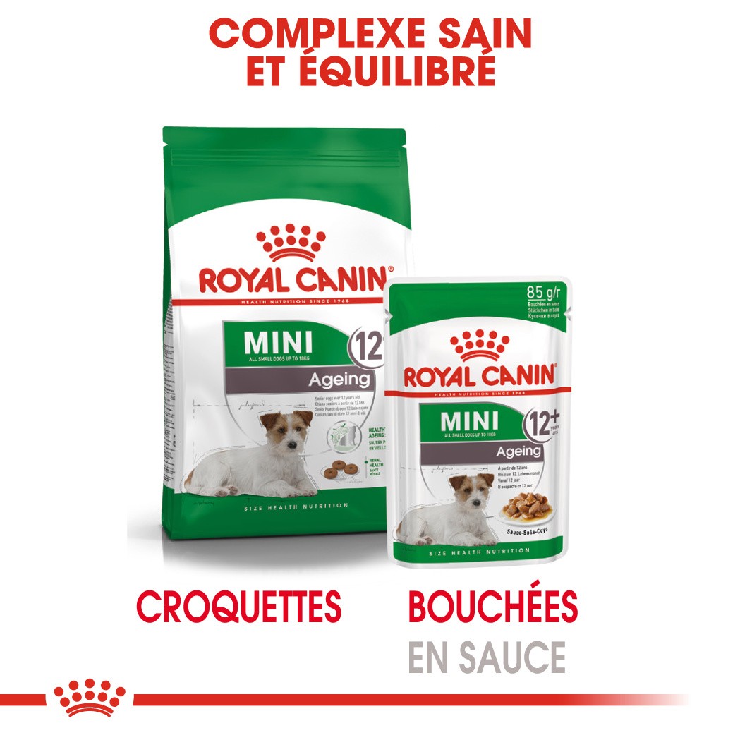 Royal Canin Mini Ageing 12+ - croquettes chien