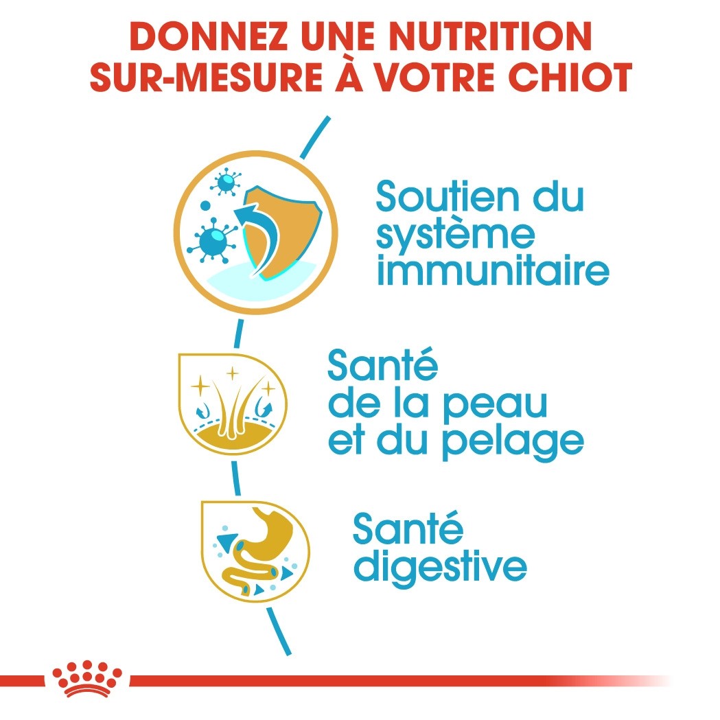 Royal Canin Golden Retriever Puppy - Croquettes pour chiot