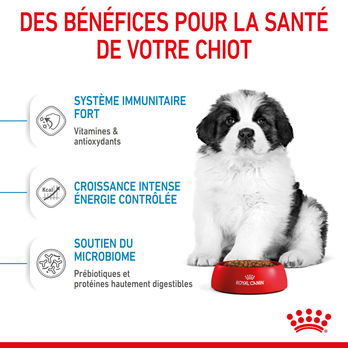 Royal Canin Giant Puppy - Croquettes pour chiot