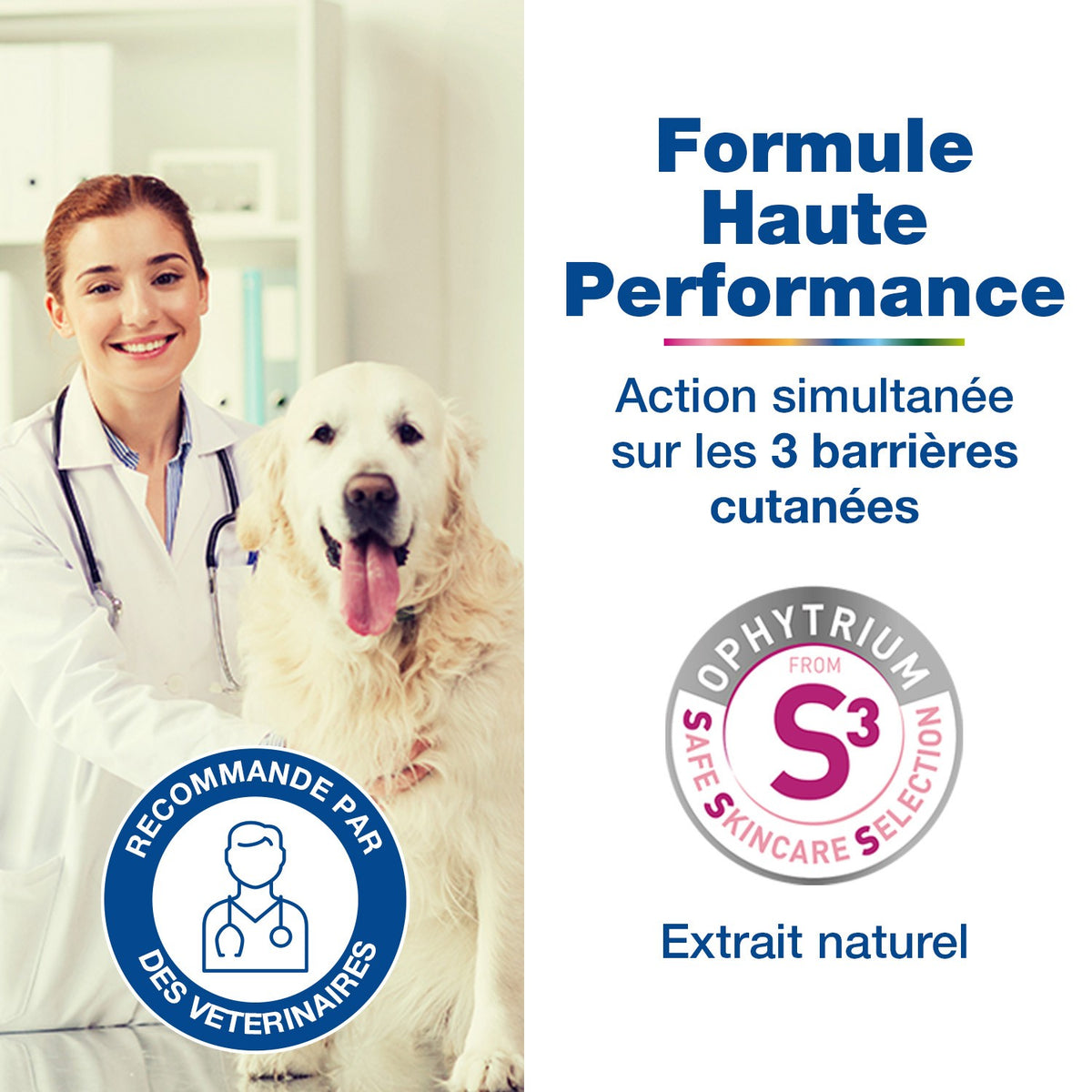 Douxo S3 Calm Mousse sans rinçage peau irritée et démangeaisons chat, chien