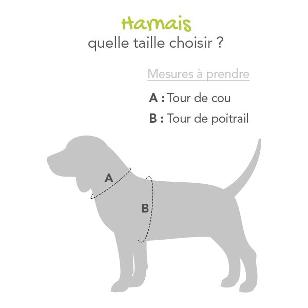Harnais Non-Pull Halti chien