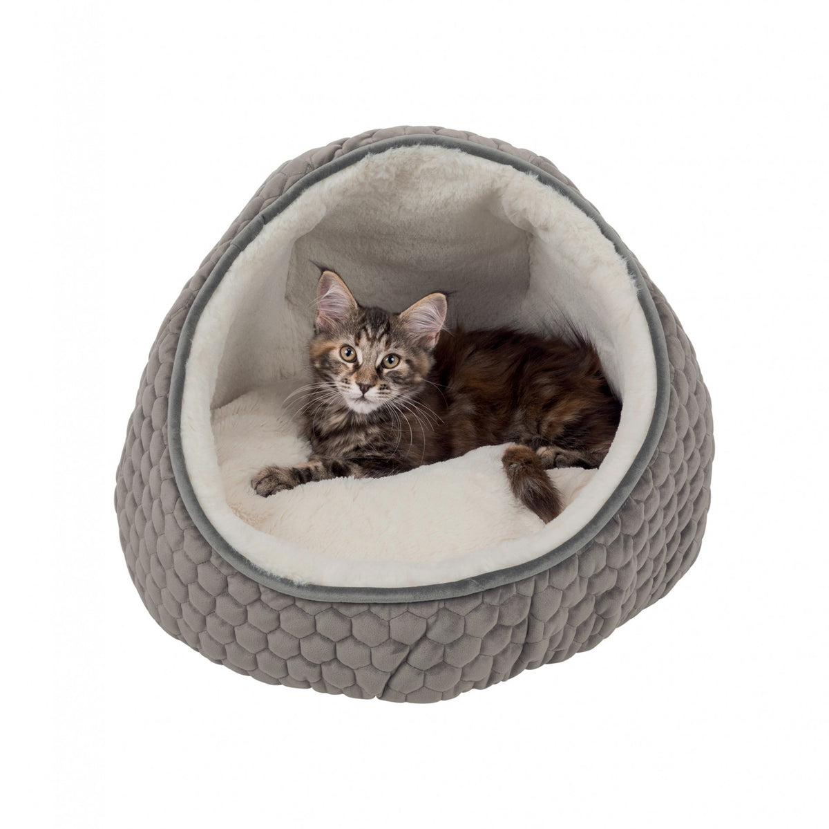 Abri douillet Livia chat, petit chien