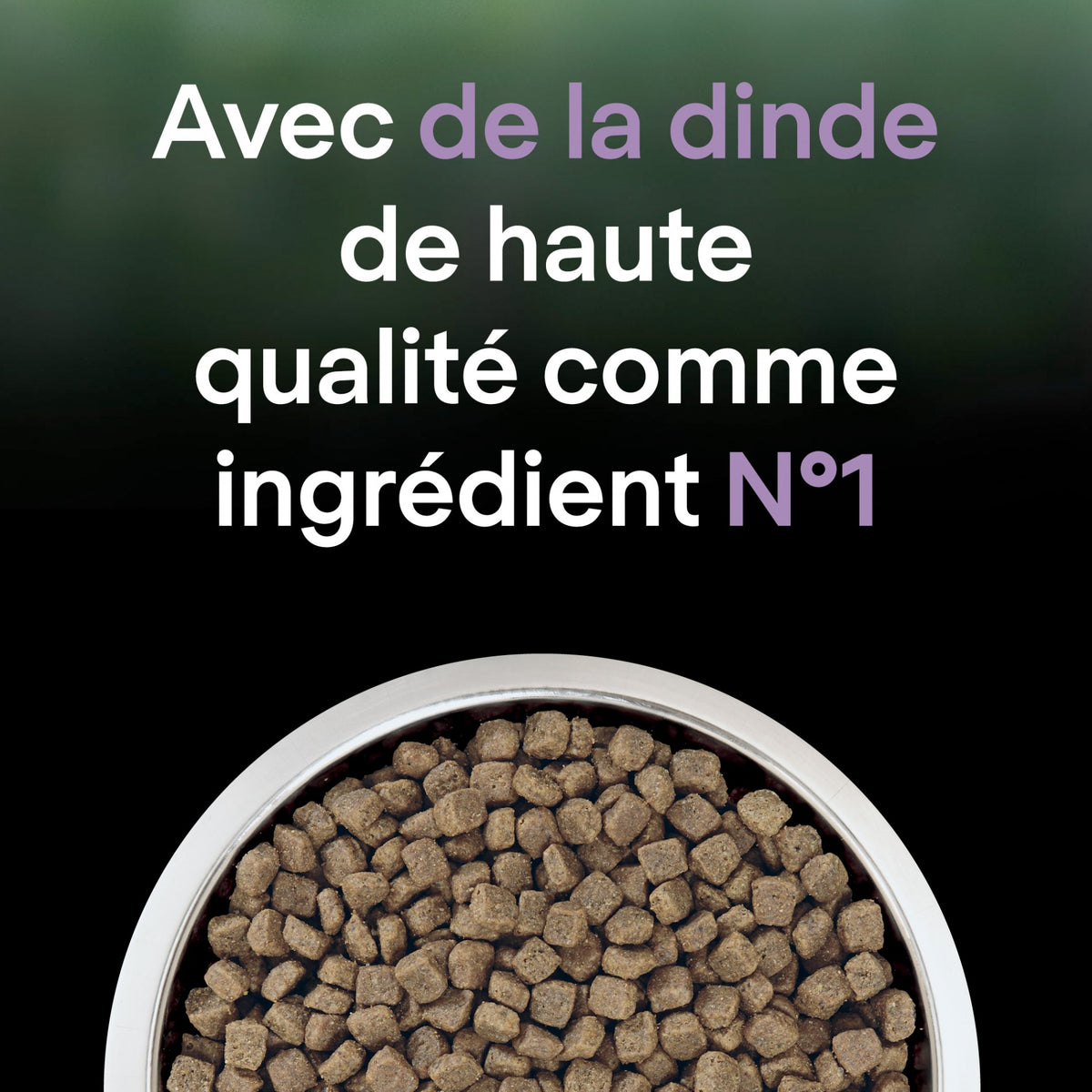 PRO PLAN LiveClear Sterilised Adult à la Dinde - Croquettes pour chat