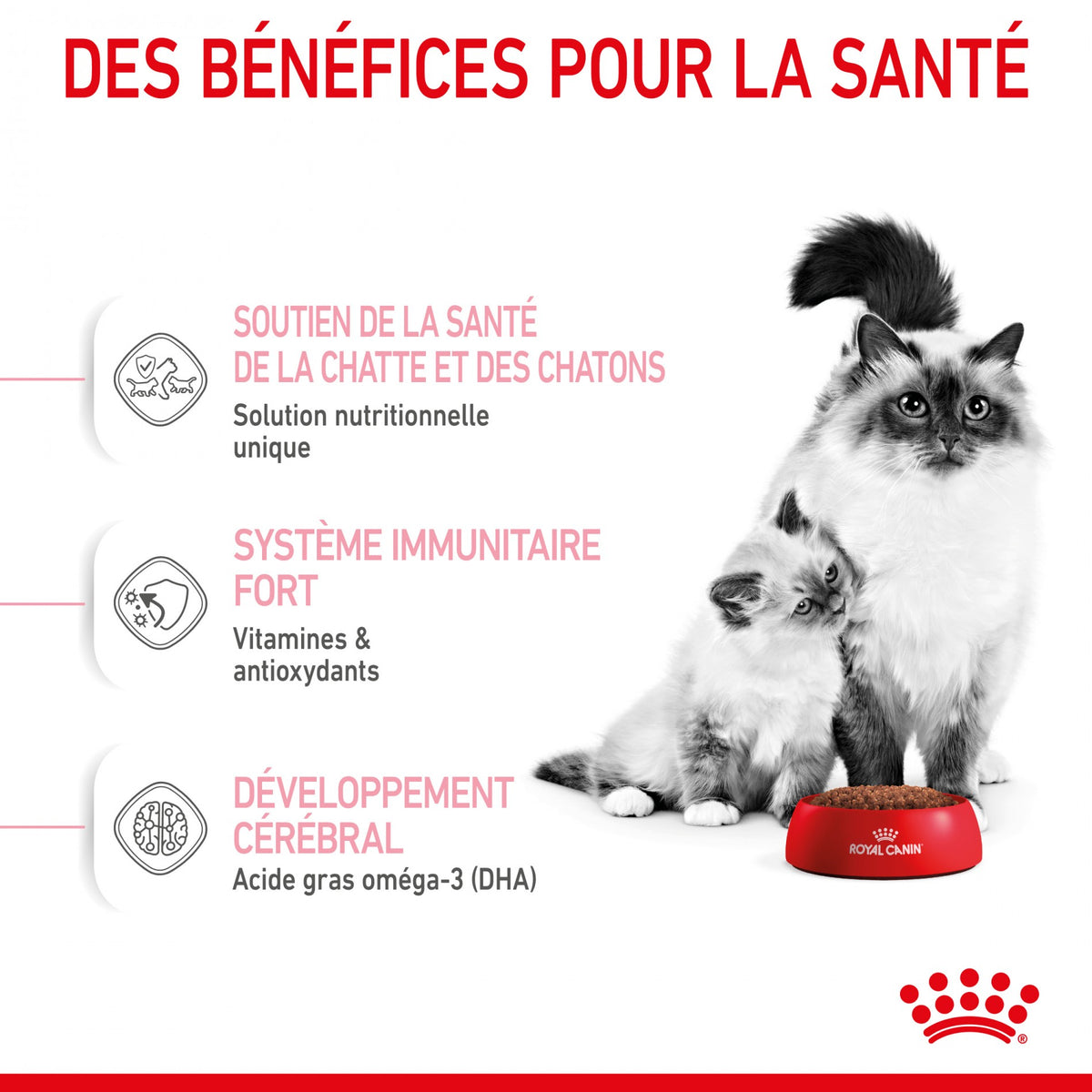 Royal Canin Mother & Babycat - croquettes chatte, chaton
