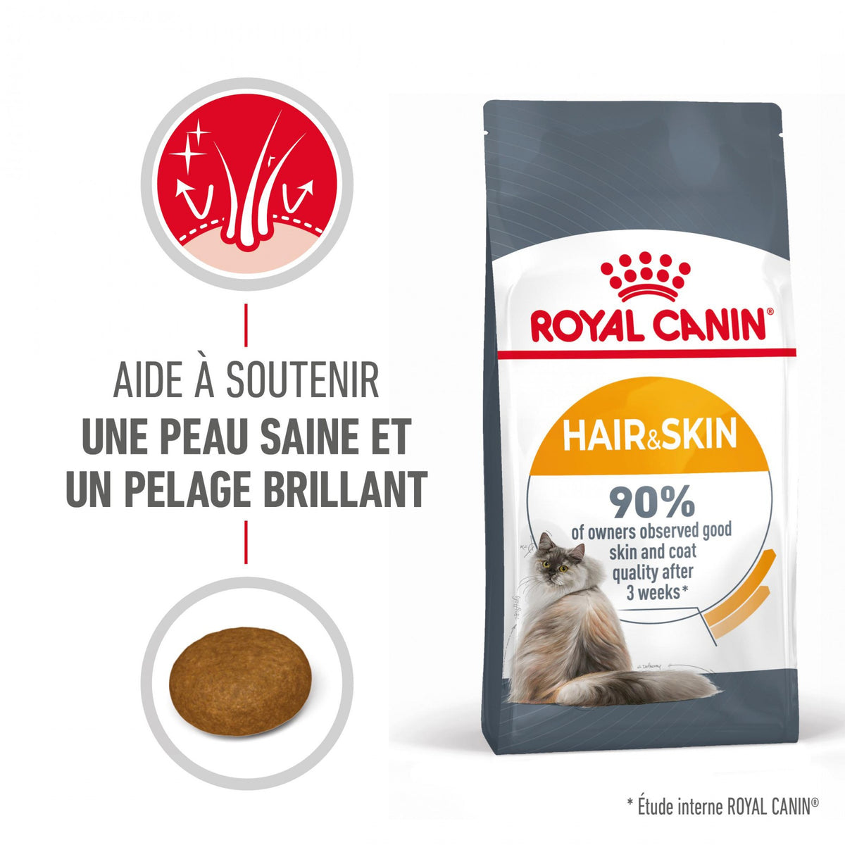 Royal Canin Hair & Skin Care - croquettes chat