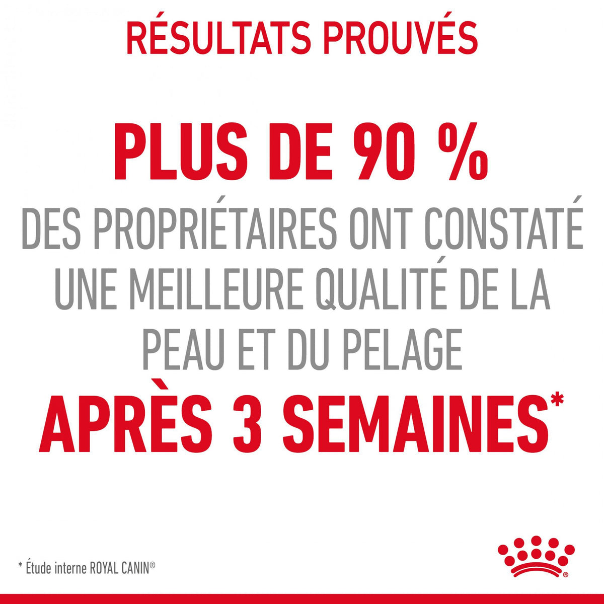 Royal Canin Hair & Skin Care - croquettes chat