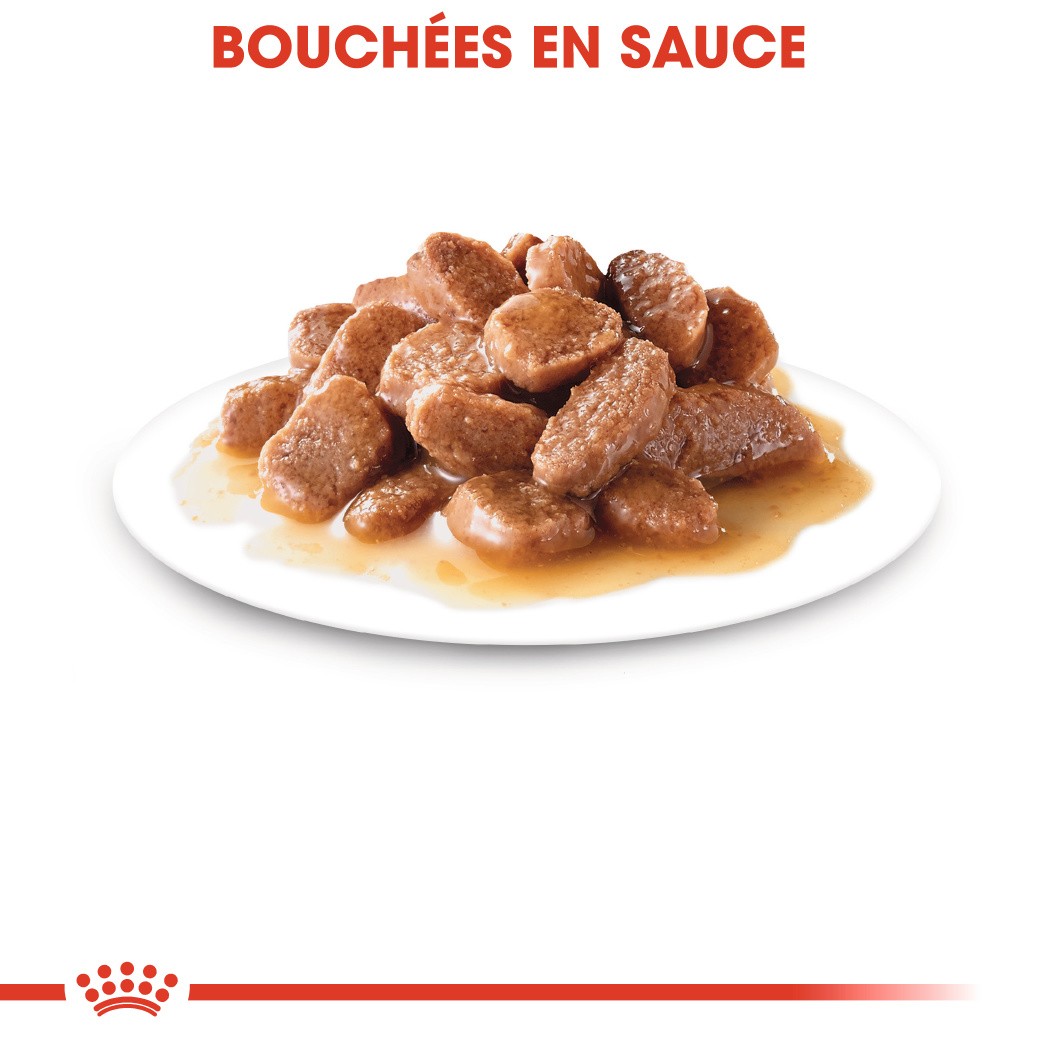 Royal Canin Instinctive - pâtée chat