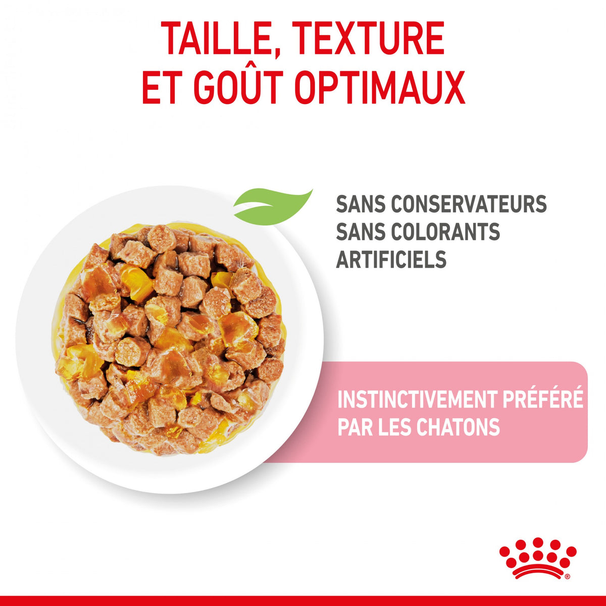Royal Canin Kitten en gelée - pâtée chaton