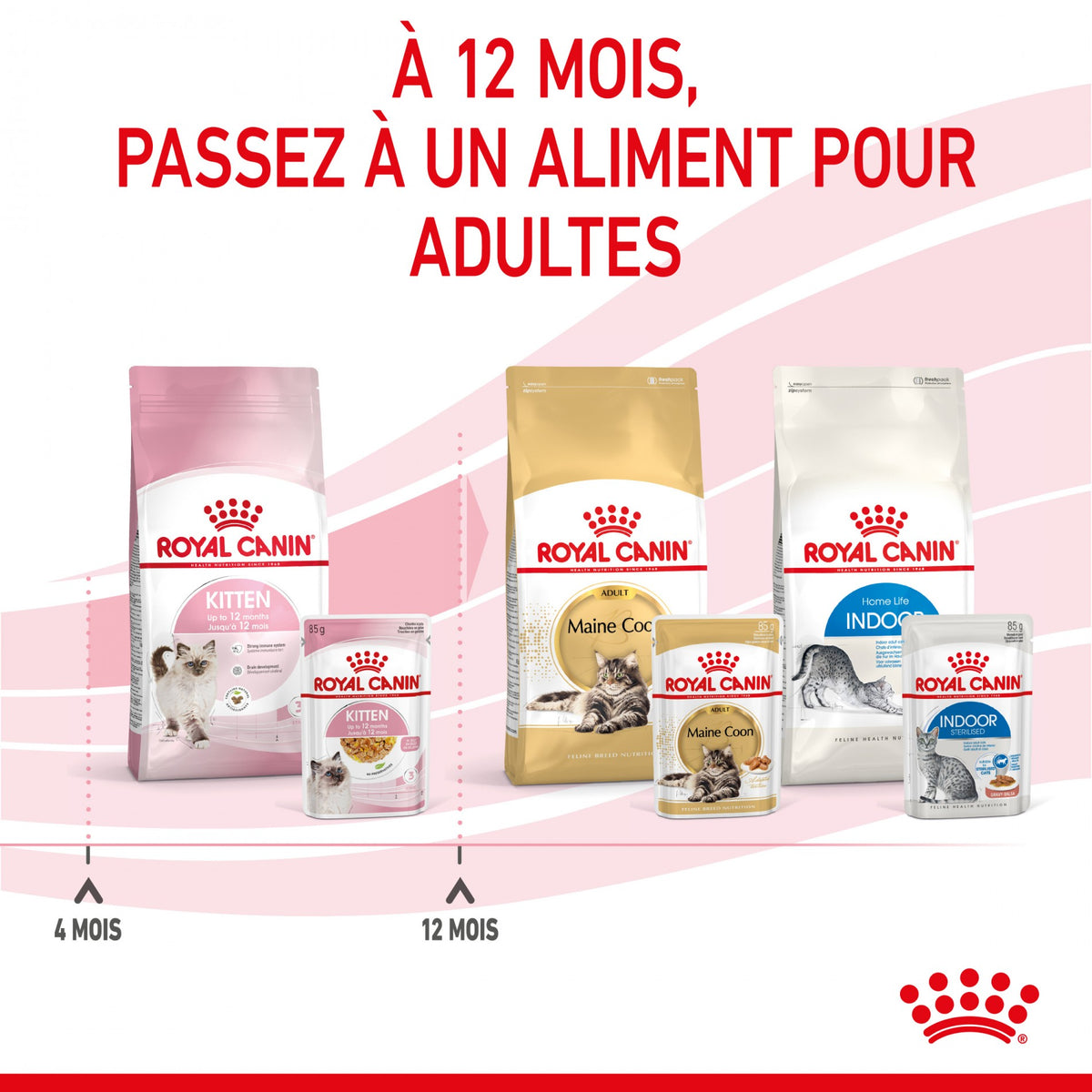 Royal Canin Kitten en gelée - pâtée chaton