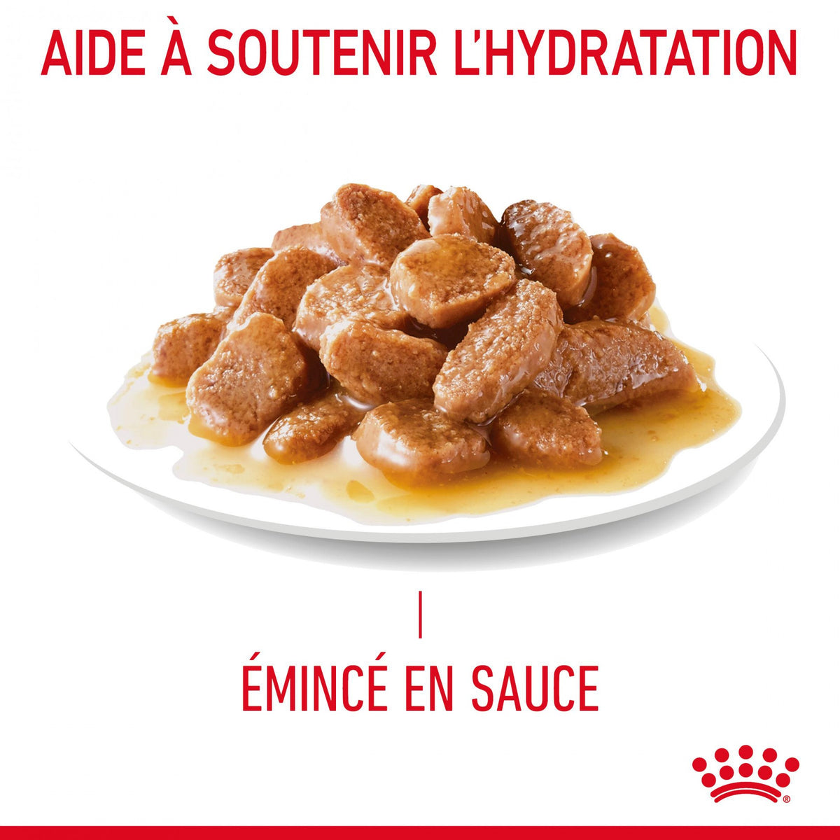 Royal canin Urinary Care en sauce - pâtée chat