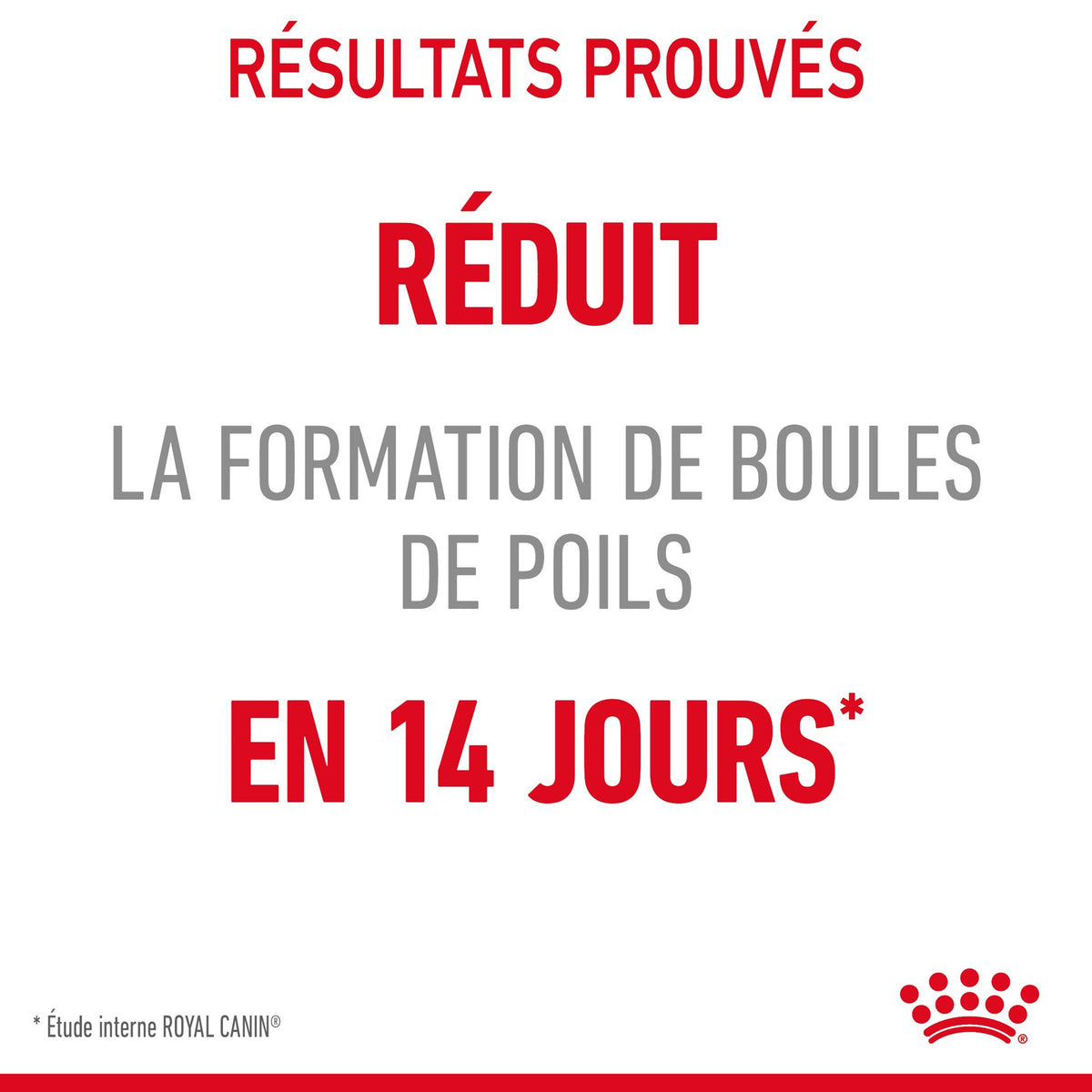 Royal Canin Hairball Care en gelée – pâtée chat