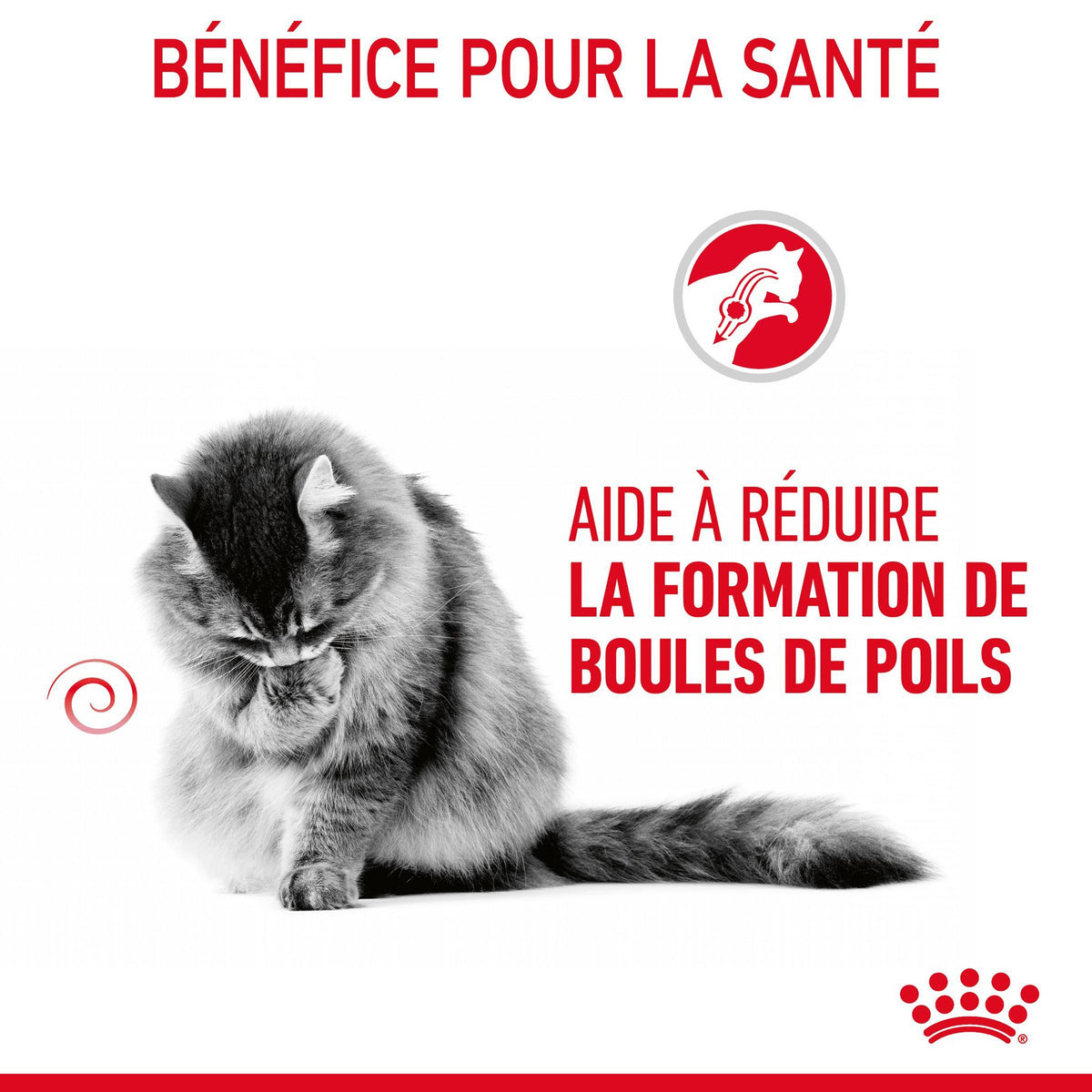 Royal Canin Hairball Care en gelée – pâtée chat