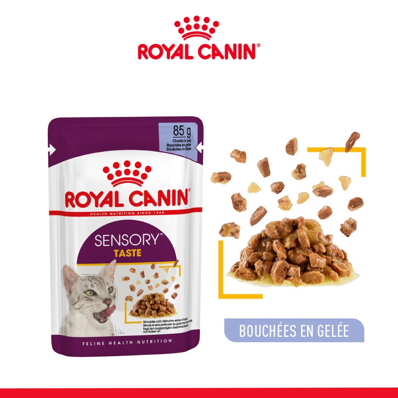Royal Canin Sensory Taste - pâtée chat