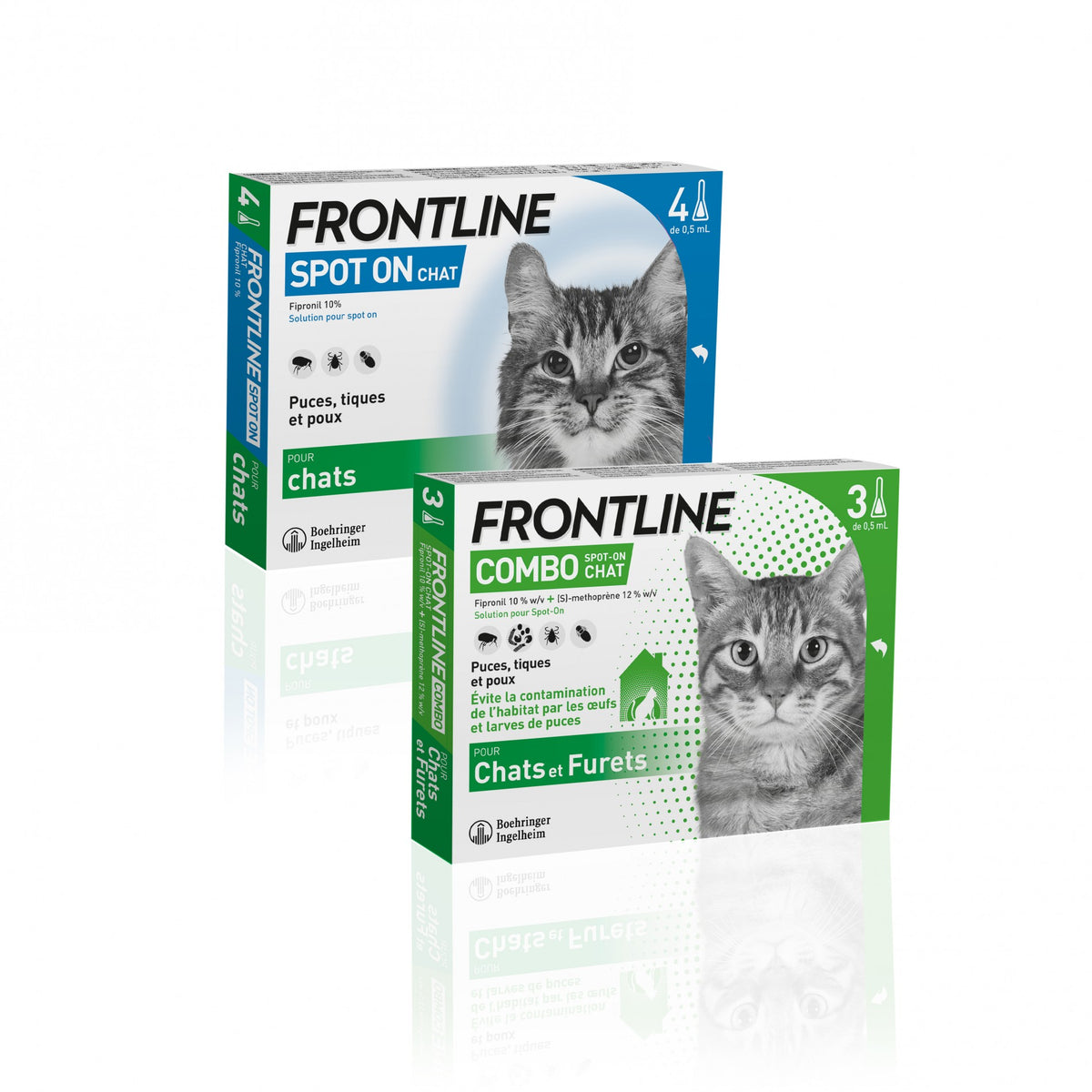 Frontline Combo chat