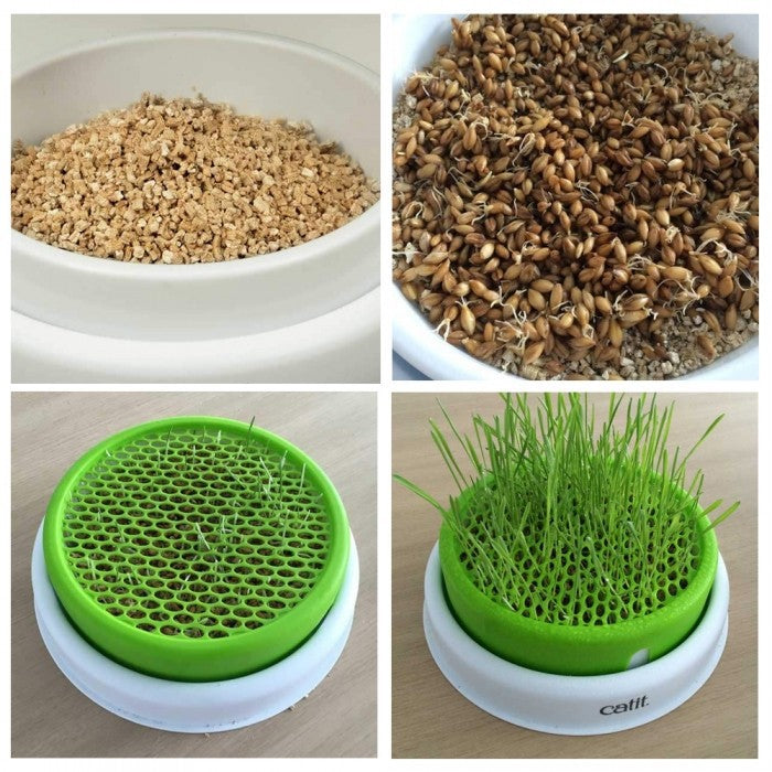 Circuit Bee Play & Garden
