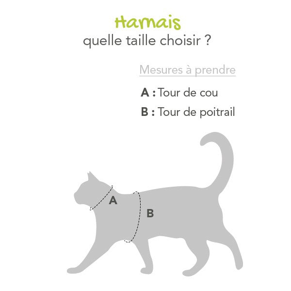 Harnais et laisse Active chat