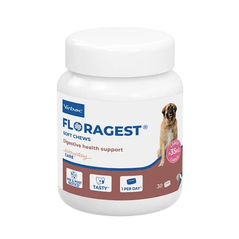 Floragest x 30 comprimés - Chien