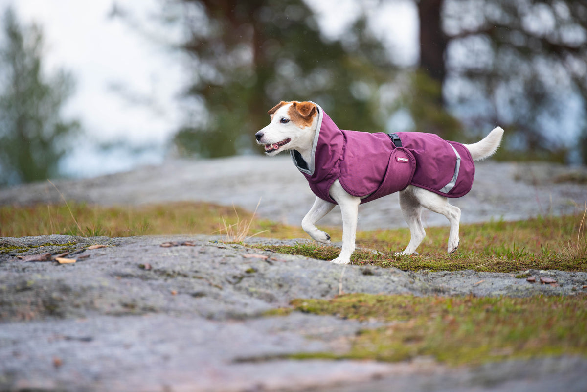 Pomppa Perus manteau imperméable pour chien Plum