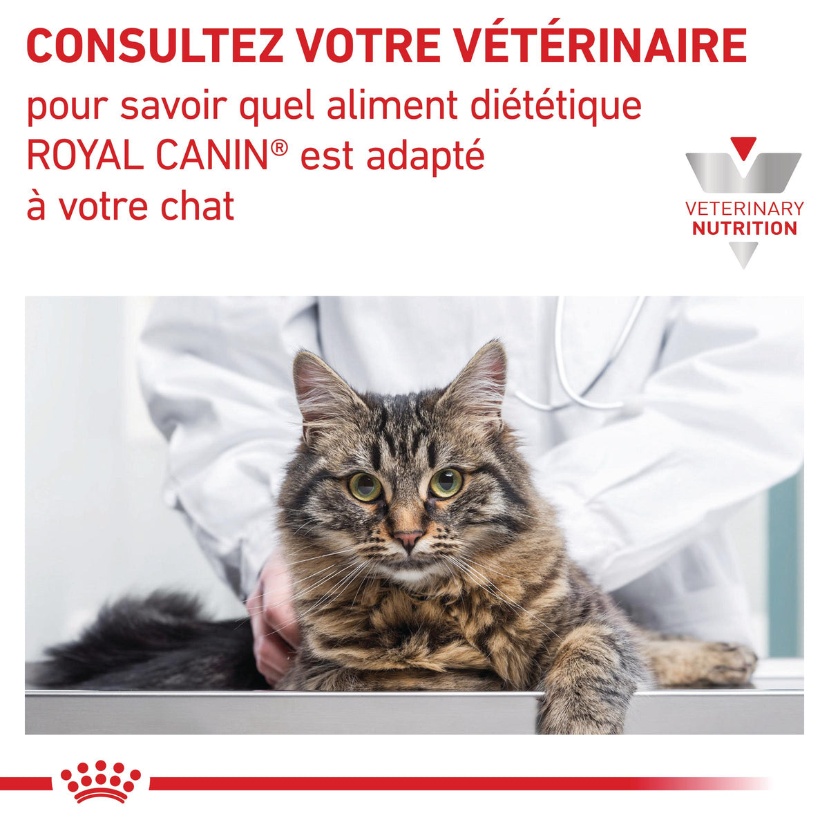 Royal Canin Veterinary Renal Select - croquettes chat
